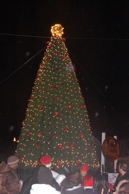 Sunset Park Christmas Tree